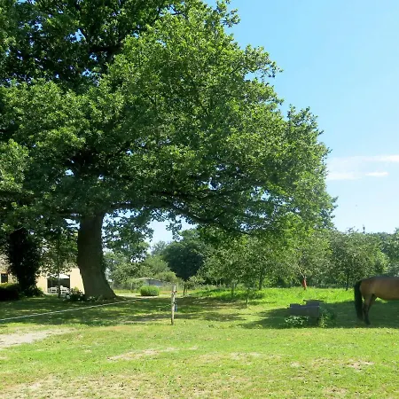 Le Petit Maitre By Interhome Ferienhaus Le Tronchet (Ille-et-Vilaine)