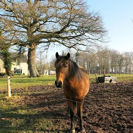 Le Petit Maitre By Interhome * Le Tronchet (Ille-et-Vilaine)